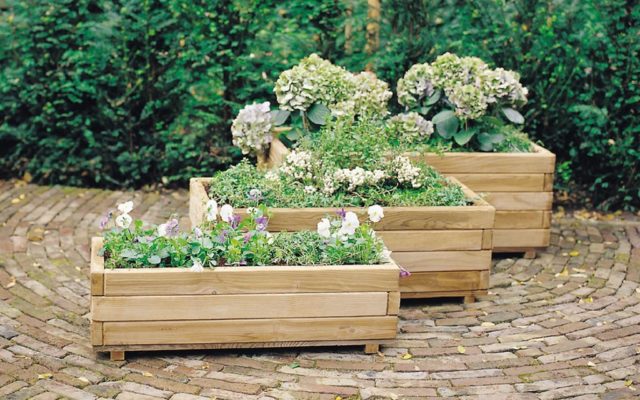 Flower garden from wooden and plastic boxes: bright and stylish ideas + photos