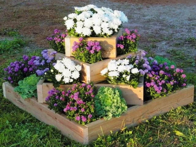 Flower garden from wooden and plastic boxes: bright and stylish ideas + photos