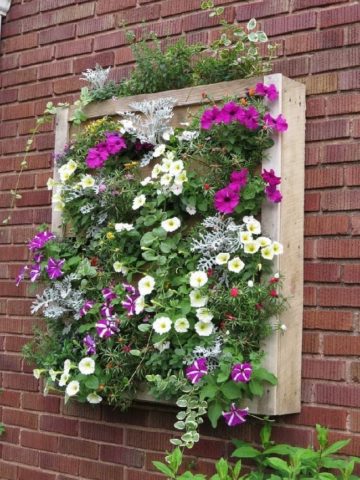 Flower garden from wooden and plastic boxes: bright and stylish ideas + photos