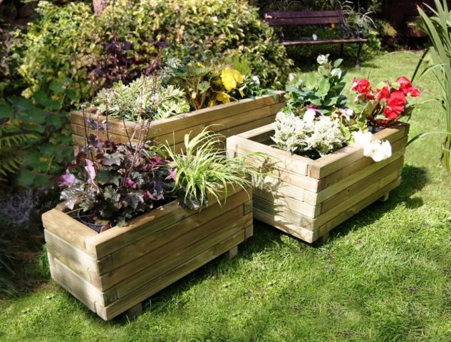 Flower garden from wooden and plastic boxes: bright and stylish ideas + photos