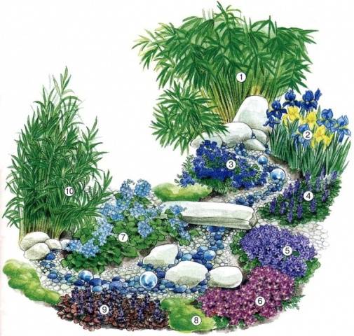 Flower garden of perennials of continuous flowering 