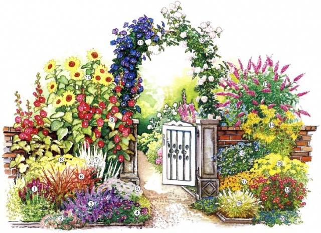 Flower garden of perennials of continuous flowering 