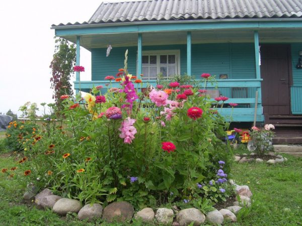 Flowerbed in the country with their own hands for beginners: step by step construction