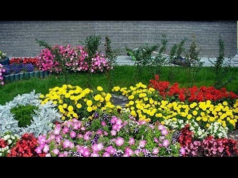 Flowerbed in the country with their own hands for beginners: step by step construction