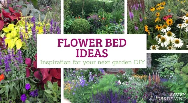 Flowerbed of continuous flowering from perennials: schemes