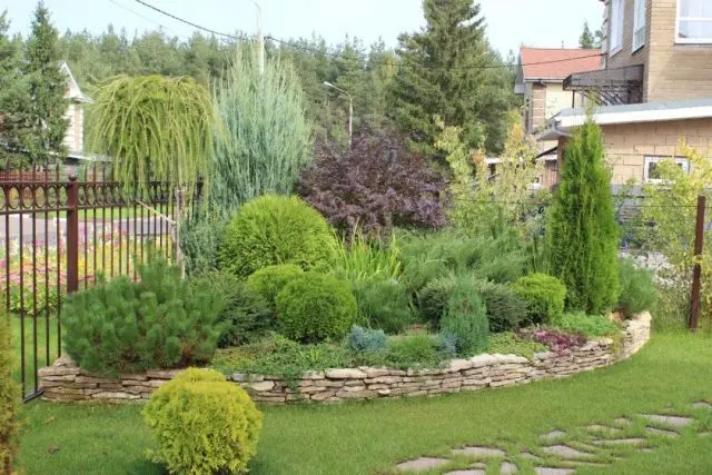 Flowerbed with conifers and flowers