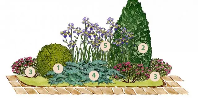 Flowerbed with conifers and flowers