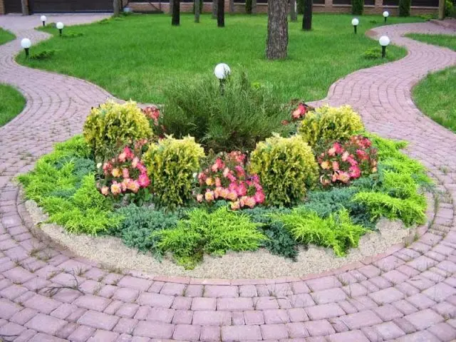 Flowerbed with conifers and flowers