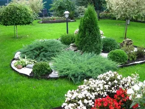 Flowerbed with conifers and flowers