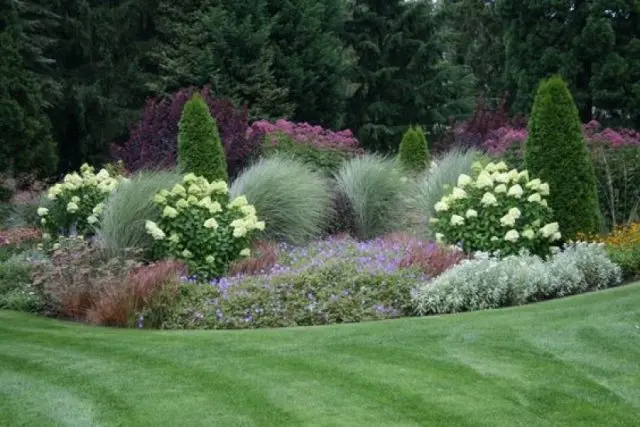 Flowerbed with conifers and flowers