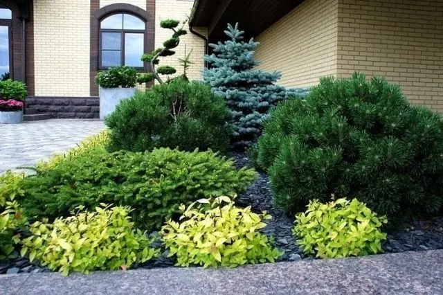 Flowerbed with conifers and flowers