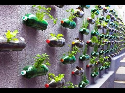 Flowerbeds from plastic bottles: how to do it yourself