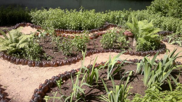 Flowerbeds from plastic bottles: how to do it yourself