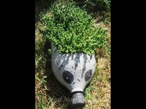 Flowerbeds from plastic bottles: how to do it yourself