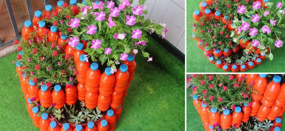 Flowerbeds from plastic bottles: how to do it yourself