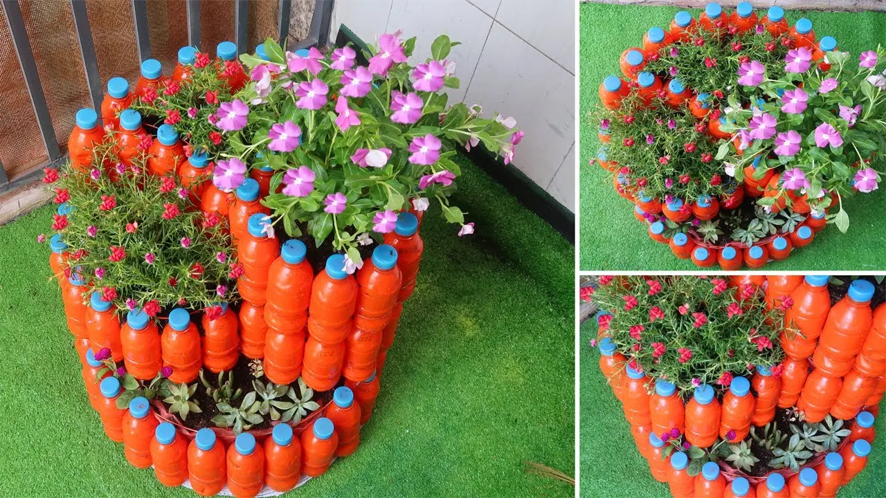 Flowerbeds from plastic bottles: how to do it yourself