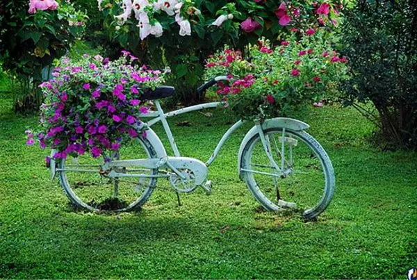 Flowerbeds in the courtyard of a private house with their own hands: original compositions