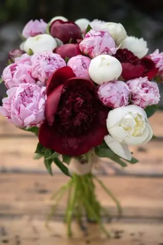 Flowers similar to peonies: what are they called + photo