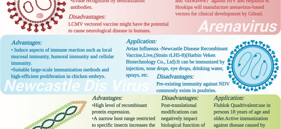 Flu vaccine 2020. What should I know? [WE EXPLAIN]