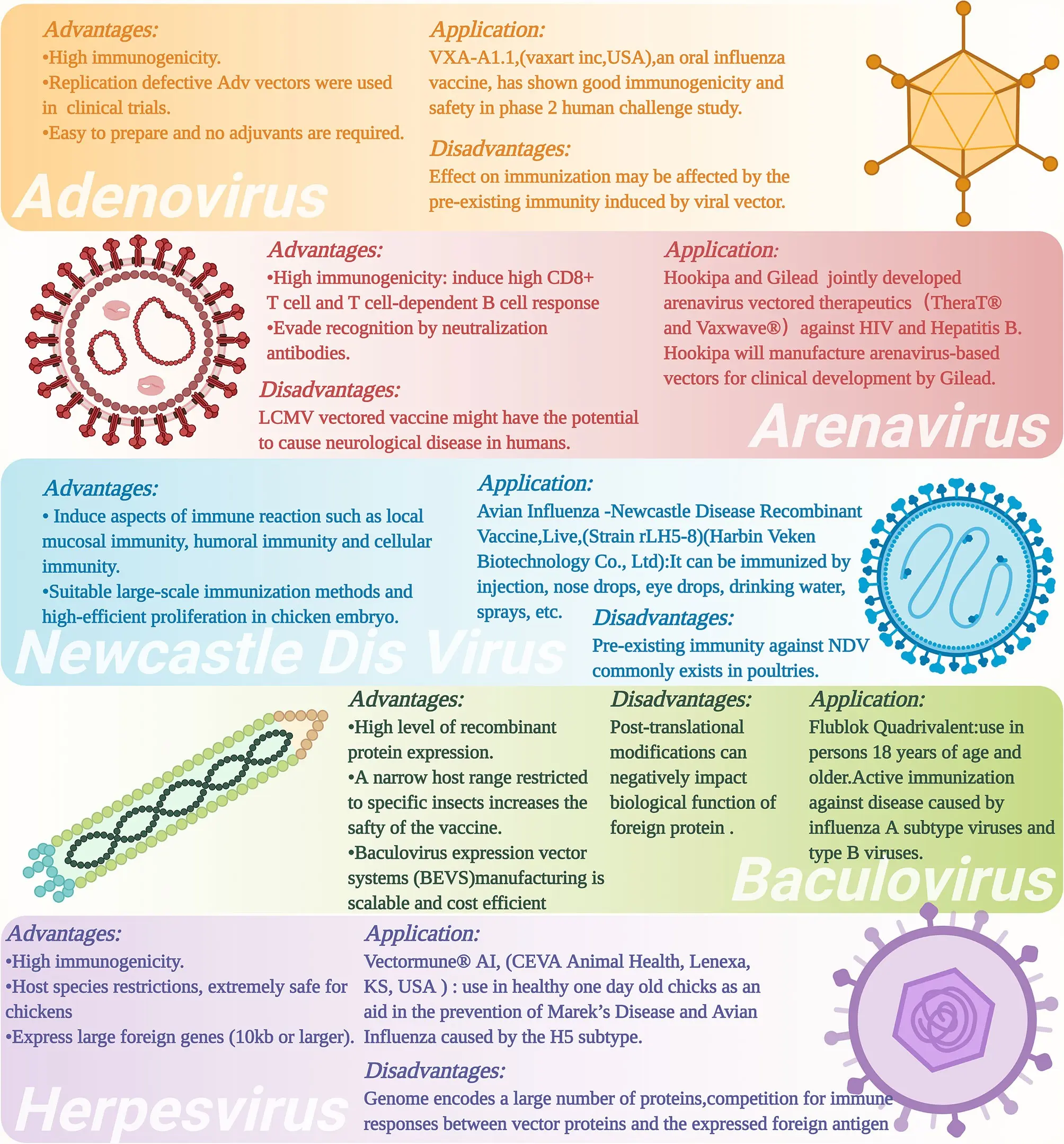 Flu vaccine 2020. What should I know? [WE EXPLAIN]