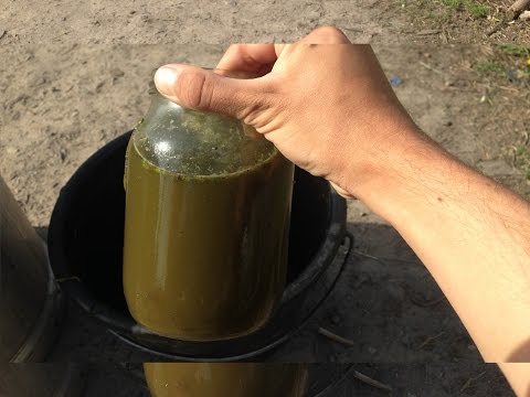 Foliar feeding of cucumbers during fruiting