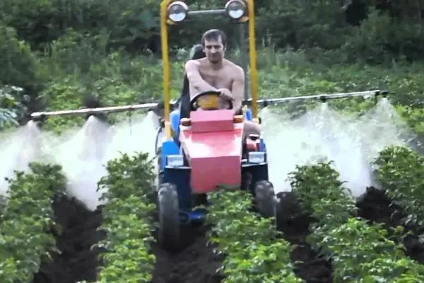 Foliar feeding of potatoes: timing, technique with photo