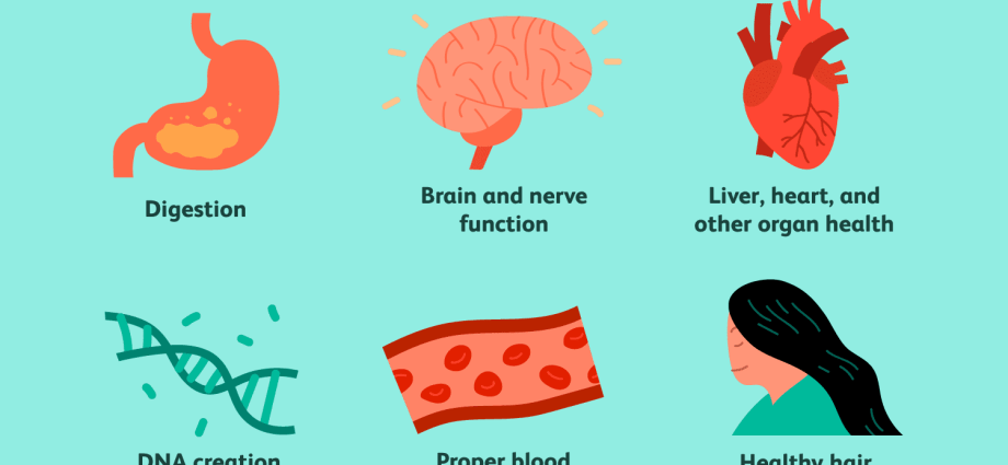 Folic acid &#8211; functions, excess, deficiency. Folic acid and pregnancy