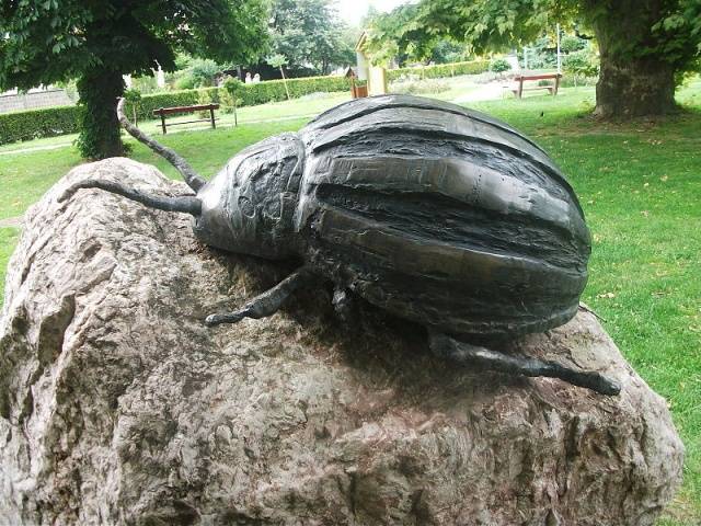 Folk remedies from the Colorado potato beetle 