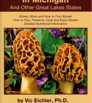 For 20 years, residents ate poisonous mushrooms because they thought they were morels