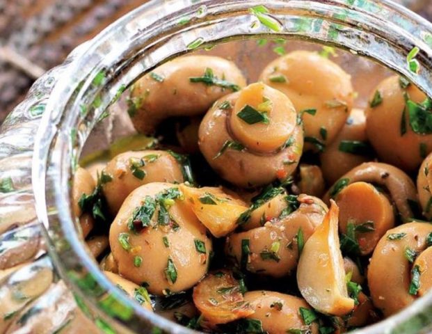 Forest champignons: how to cook, how much to cook, recipes