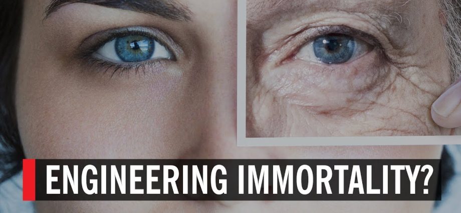 Forever Young. Will science make humans almost immortal?