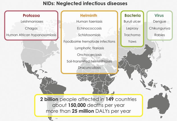 Forgotten diseases return. WHO is alarming