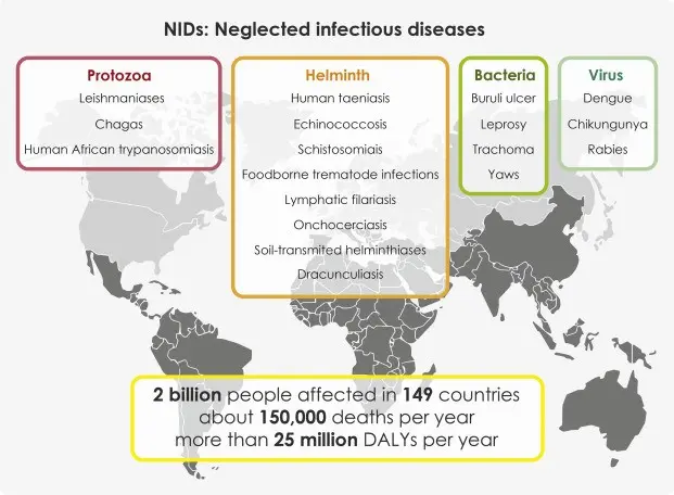 Forgotten diseases return. WHO is alarming