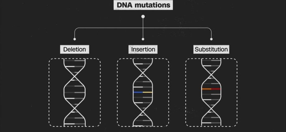 Four variants of the coronavirus keep scientists awake at night. Why?