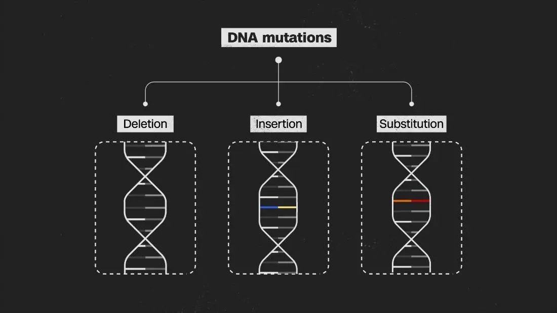 Four variants of the coronavirus keep scientists awake at night. Why?