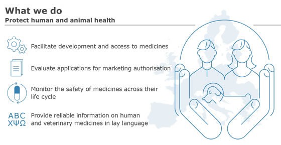 Fourth dose also for young people? &#8220;I wouldn&#8217;t just look at the recommendations of the EMA&#8221;