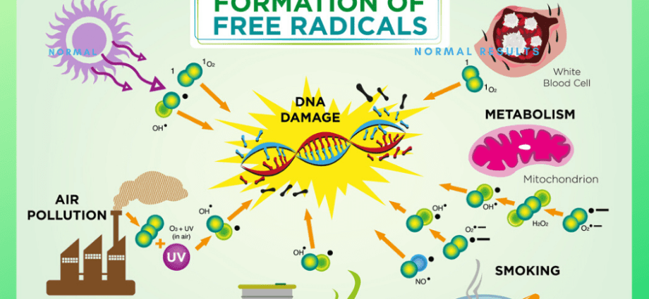 Free radicals &#8211; what they are, how they arise, what diseases they cause