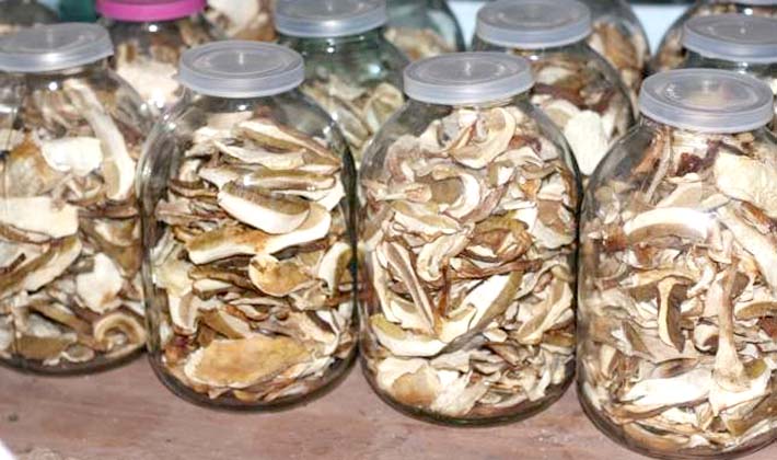 Freezing and storing porcini mushrooms in the refrigerator