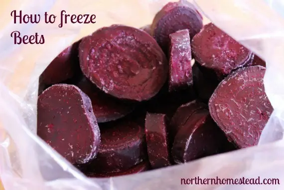 Freezing beets for the winter at home