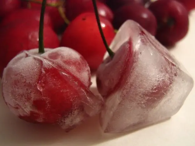 Freezing cherries for the winter in the freezer at home: with and without a stone