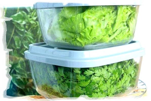 Freezing greens for the winter at home 