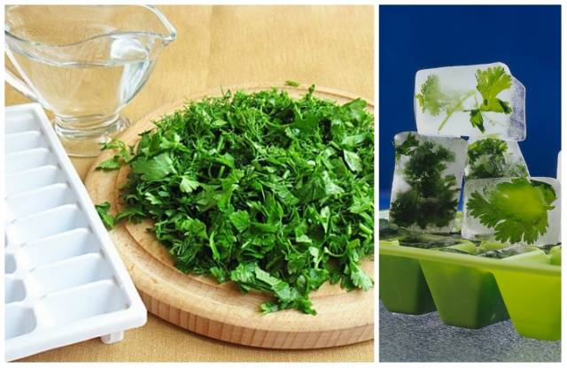 Freezing greens for the winter at home 