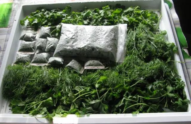 Freezing greens for the winter at home 