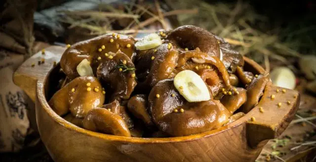 Freezing mushrooms for the winter: delicious recipes with photos