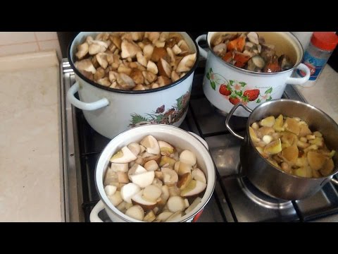 Freezing mushrooms for the winter: delicious recipes with photos