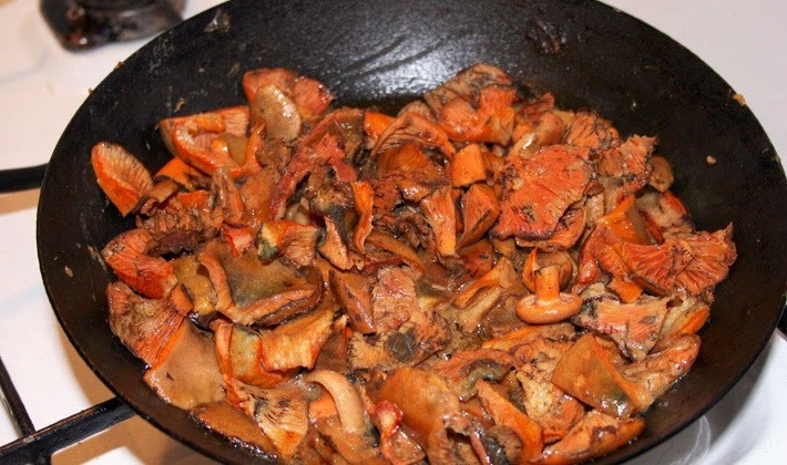 Freezing mushrooms for the winter in raw, boiled and salted form