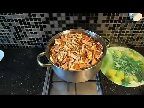 Freezing mushrooms: raw, boiled, stewed and fried