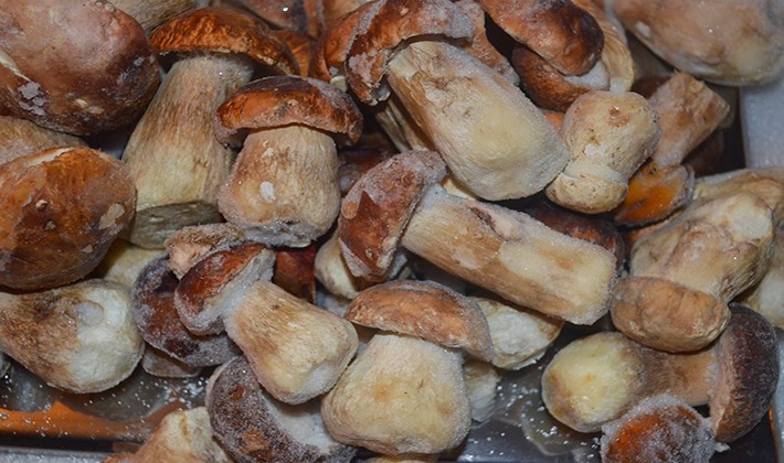 Freezing recipes for porcini mushrooms for the winter