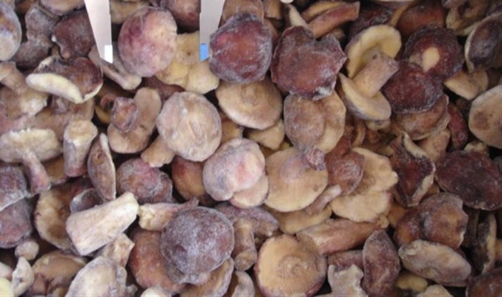 Freezing recipes for porcini mushrooms for the winter