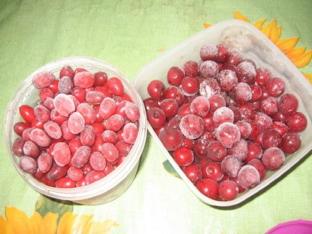 Freezing tomatoes for the winter at home